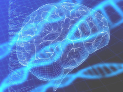 Gehirn mit DNA
